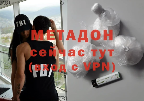 индика Горняк