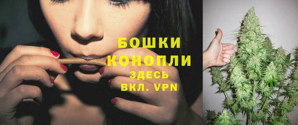 индика Горняк