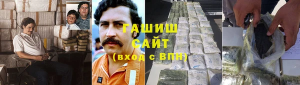 индика Горняк