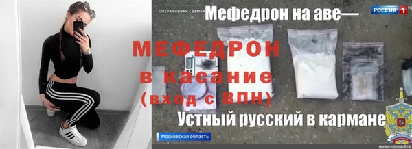 индика Горняк