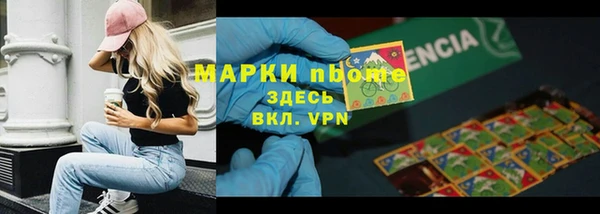 индика Горняк