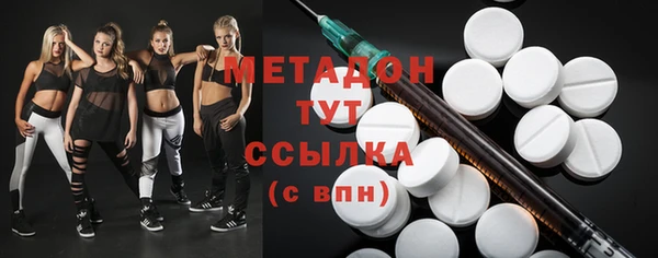 индика Горняк