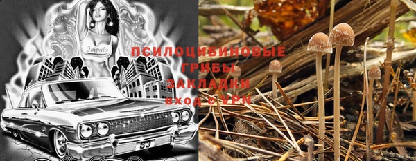 прущие крисы Горно-Алтайск