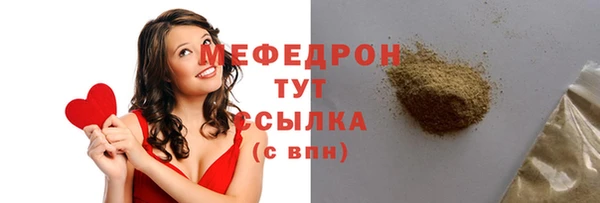 индика Горняк