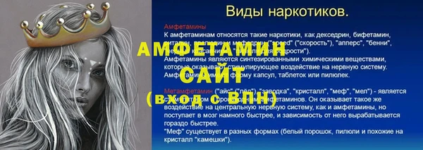 индика Горняк
