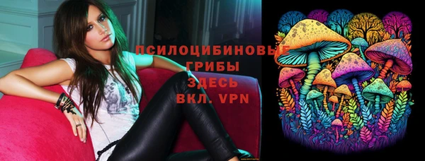 ALPHA-PVP Горнозаводск