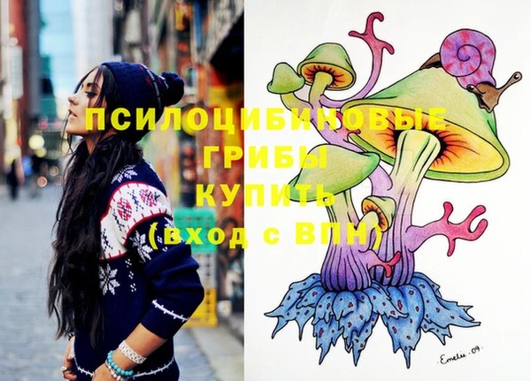 индика Горняк