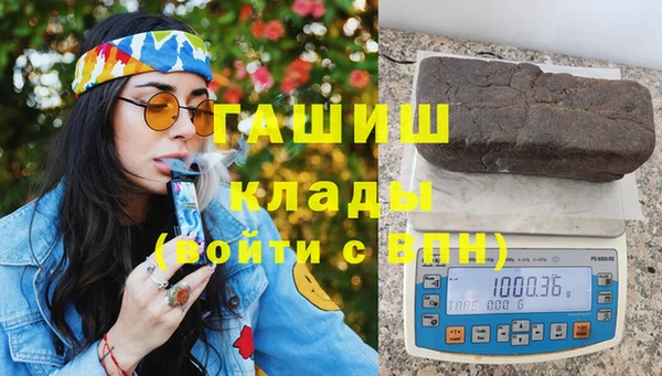 индика Горняк