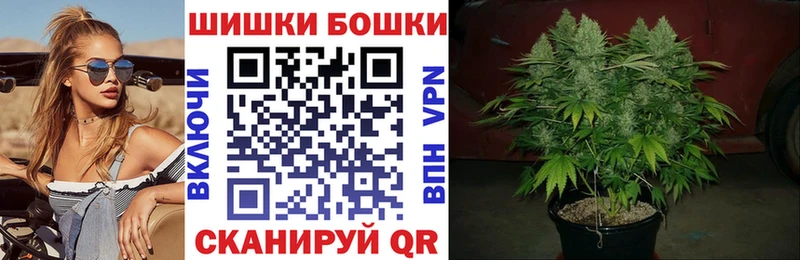 Купить закладки  Мураши  Канабис VHQ 